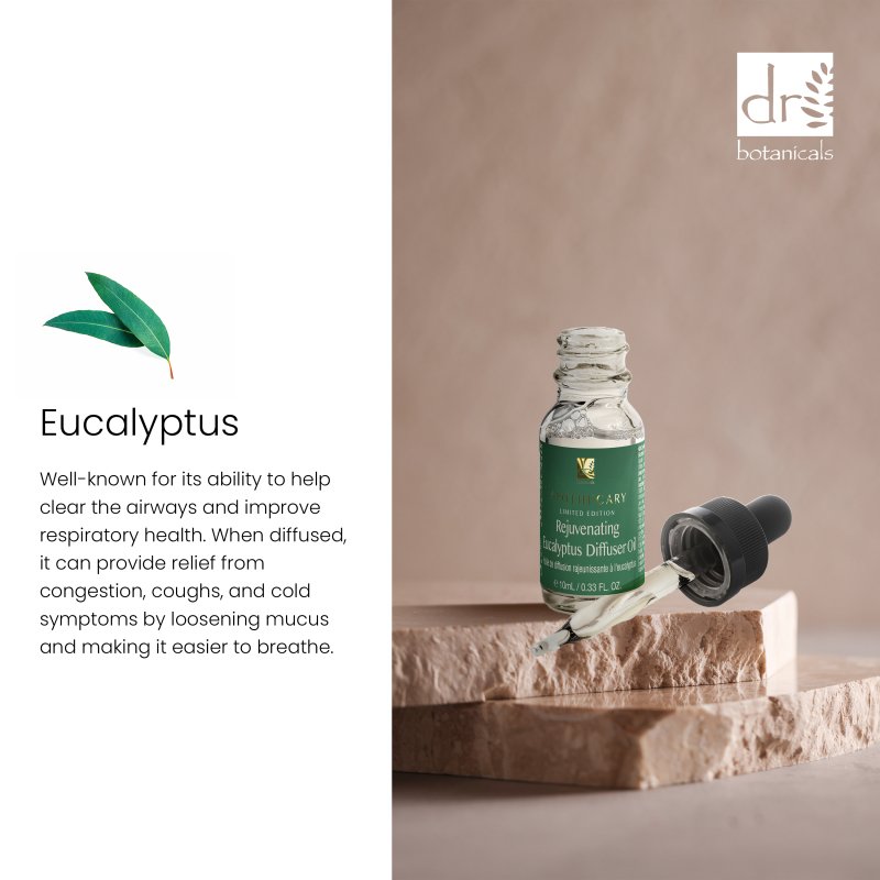 Coffret diffuseur de luxe relaxant à l'eucalyptus avec bougie au bois de santal et à la bergamote
