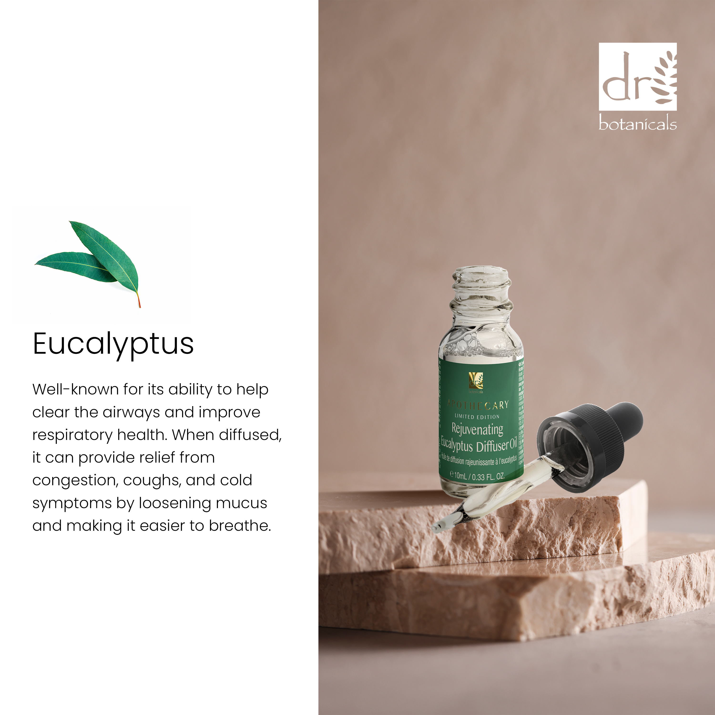 Kit diffuseur d'huiles essentielles 5 en 1 Dr Botanicals Premium à l'eucalyptus pour une expérience rajeunissante.