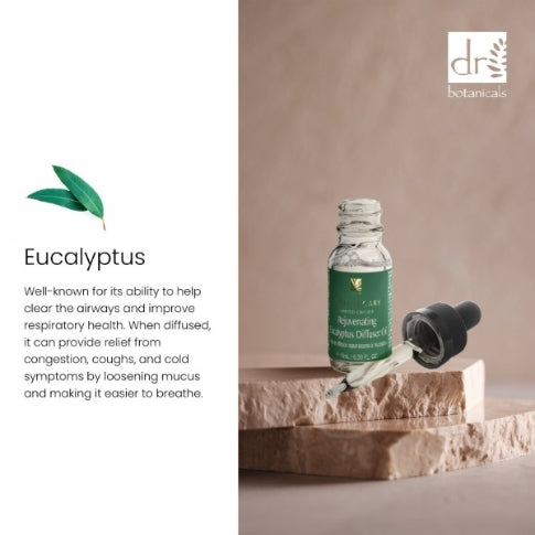 Kit diffuseur d'eucalyptus rajeunissant